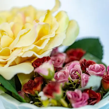 Гостевой дом House Бухарест