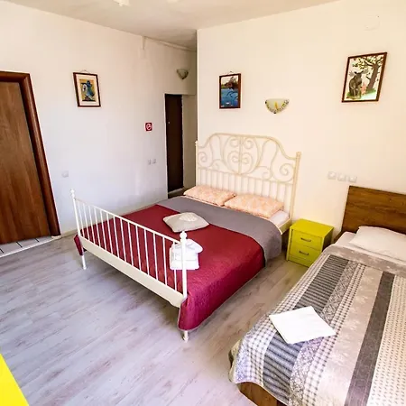 House 4* Бухарест