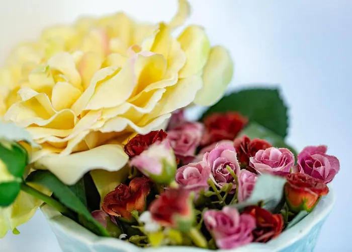 Casa de hóspedes House Bucareste