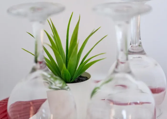 House Casa de hóspedes Bucareste